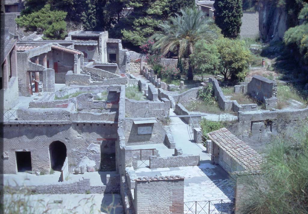 Ins. Or. 1. 2, Herculaneum 7th August 1976. Looking north from access roadway.
On the right are the rooms of the House of Telephus. 
Lower is the “tower room” (without a roof), in the centre are the rear rooms and the peristyle garden can be seen at the top, on right. 
On the left are Ins. Or. I.1 and I.1a
Photo courtesy of Rick Bauer, from Dr George Fay’s slides collection.
